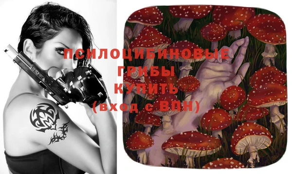ешки Мегион