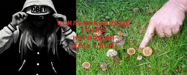 мяу мяу мука Алзамай