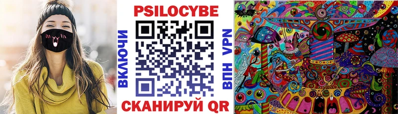kraken ССЫЛКА  Тобольск  Галлюциногенные грибы Psilocybe  что такое  